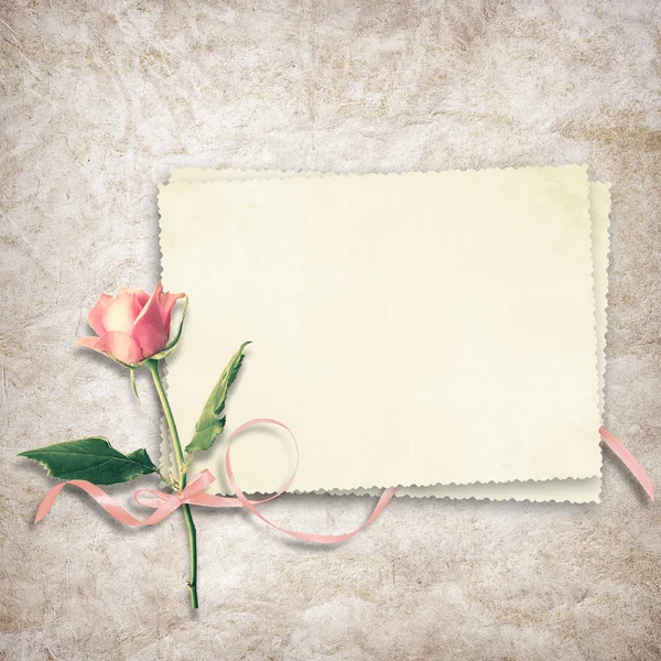 Ročník karta pro dovolenou s růží — Stock fotografie