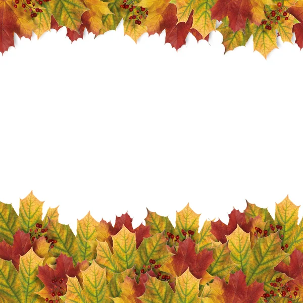 Carte d'automne avec feuilles d'automne — Photo