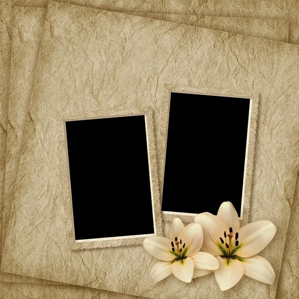 Ročník karta pro dovolenou s květem na abstraktní backgro — Stock fotografie