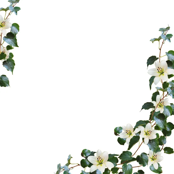 白い背景の上の花と休日のためのカード — ストック写真
