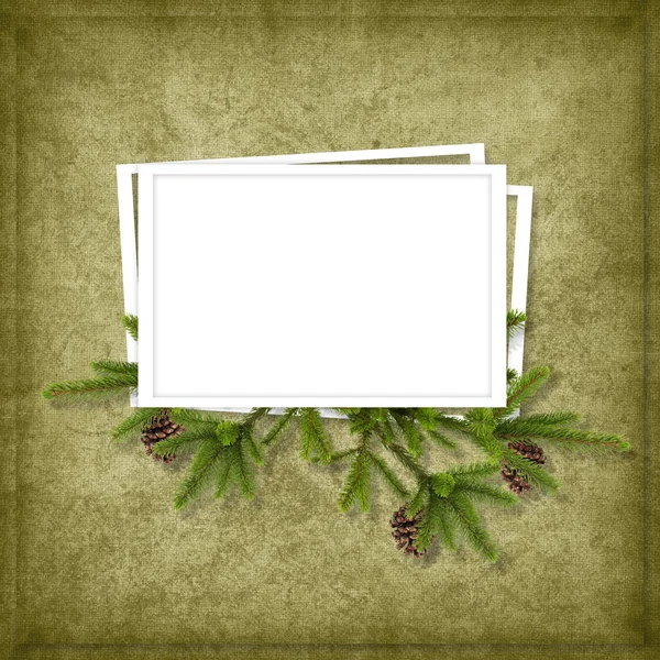 Card for the holiday with branches on the abstract background — Stock Photo, Image