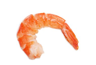 Shrimp clipart