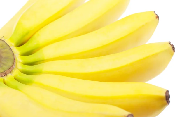 一大串香蕉被隔绝在白色背景 — 图库照片