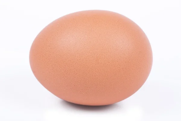 Macro view of an egg — Stock Photo, Image