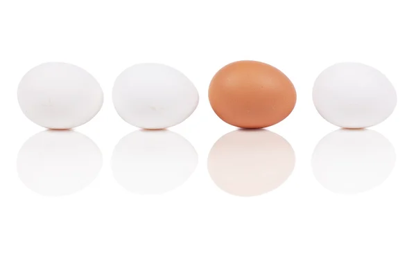 Vista Macro Quatro Ovos Isolados Branco — Fotografia de Stock