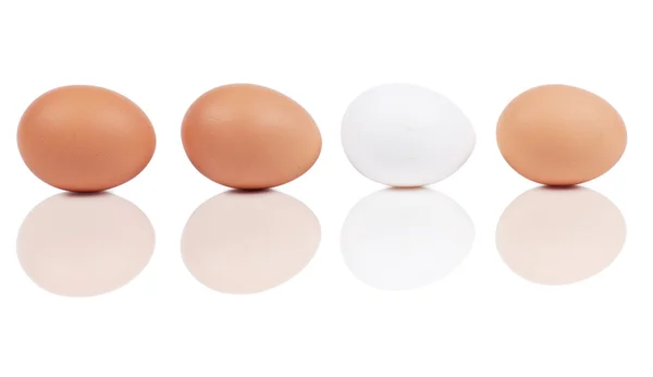 Dört Yumurta Üzerinde Beyaz Izole Makro Görünümü — Stok fotoğraf