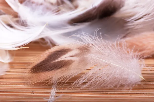 Ένα Σωρό Μαλακό Φτερών Άχυρο Φόντο — Φωτογραφία Αρχείου