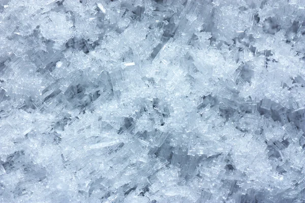 Stock image Macro view of snow frost