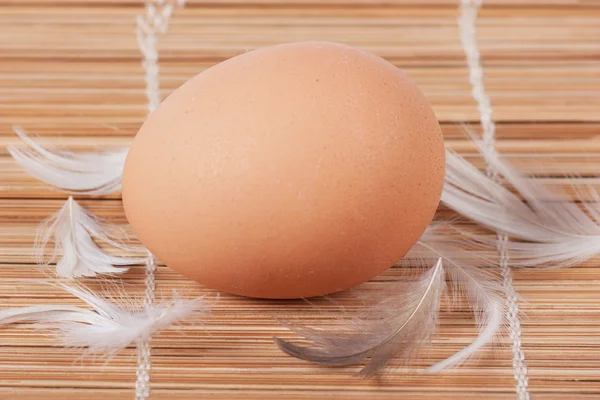 Vajíčko a peří — Stock fotografie