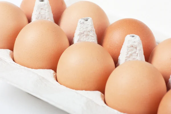Bruin eieren — Stockfoto