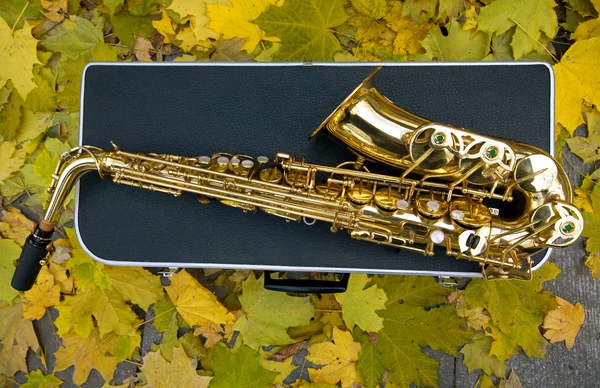 stock image Saxophone with case