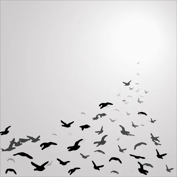Стая птиц в сером небе — стоковый вектор