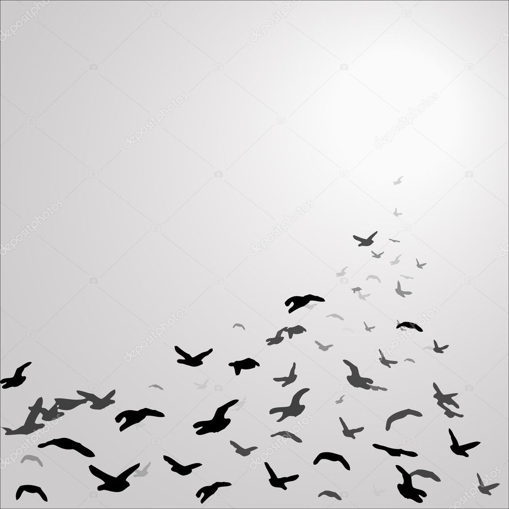 Flock of birds in the gray sky