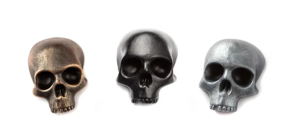 Tre modelli di cranio — Foto Stock