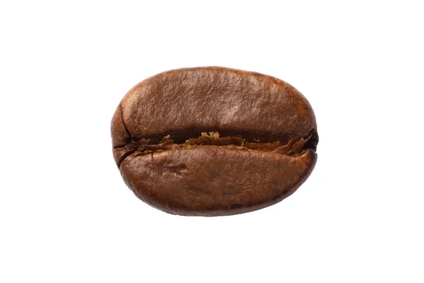 Один кавових зерен — стокове фото