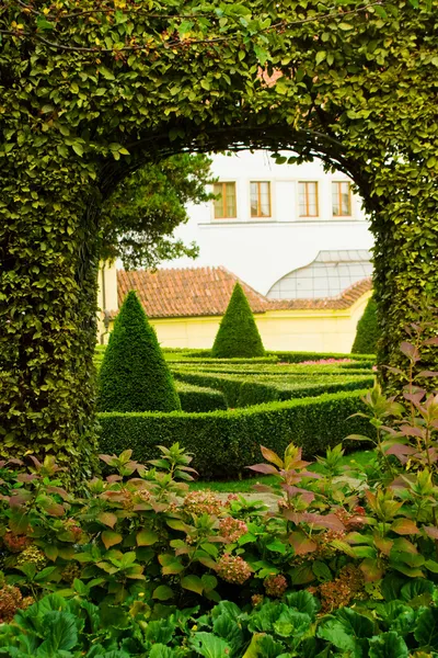 stock image European garden detail