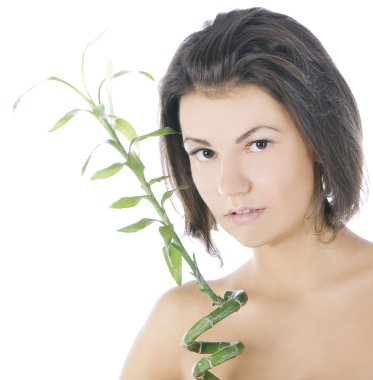Picture of attractive brunette with bamboo over white clipart