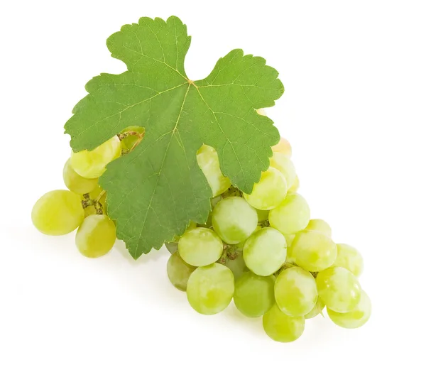 Trauben reifer gelber Trauben auf weißem Hintergrund — Stockfoto