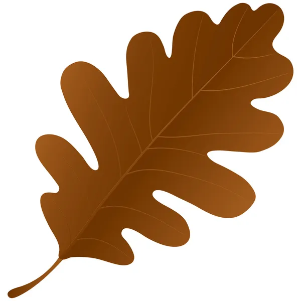 Feuille de chêne d'automne — Image vectorielle