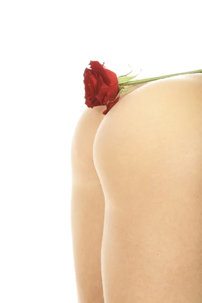 白い背景に分離された赤いバラと白人女性の裸の裏面 — ストック写真