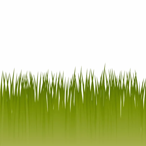 绿草 — 图库矢量图片