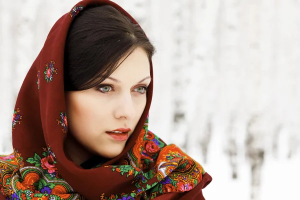 stock image Gorgeous woman in shawl.