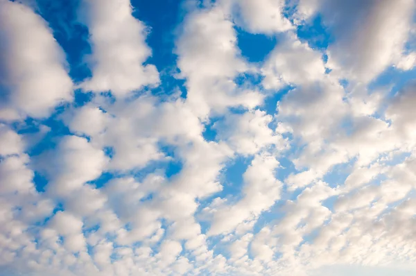 Vita fluffiga cumulus moln på en blå himmel....... — Stockfoto