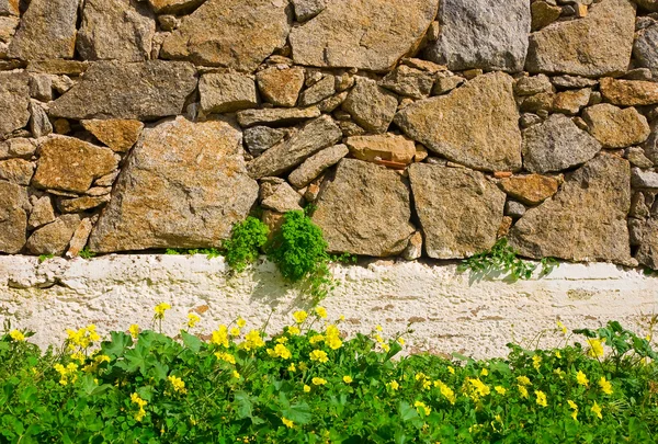 Очистка дикими цветами у стены из грубого камня — стоковое фото