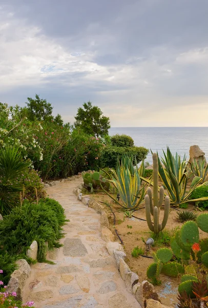 Каменная тропа в саду против моря и неба — стоковое фото