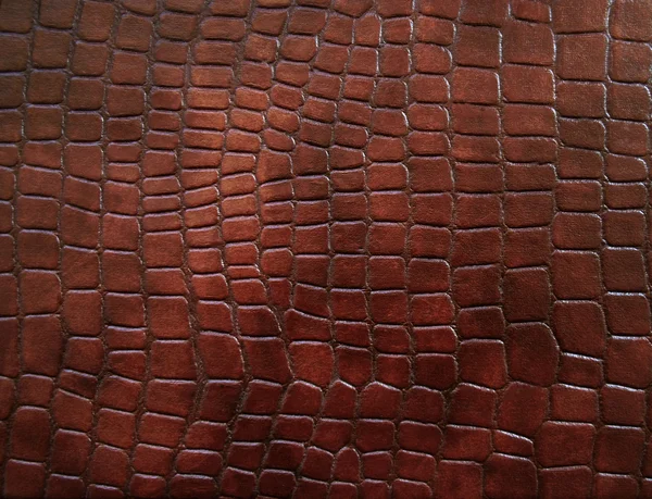 Kůže s krokodýlí oblečený textury. — Stock fotografie