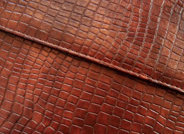 Leather with crocodile dressed texture. clipart