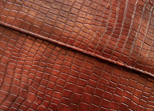 Bőr textúra öltözött krokodil. — Stock Fotó