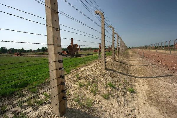 Auschwitz ruinas de carreteras — Foto de Stock