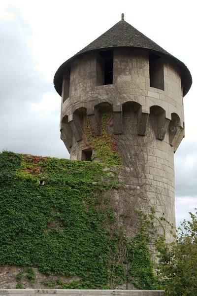 stock image Castle