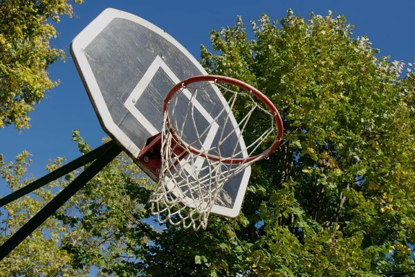 Basket — Foto Stock