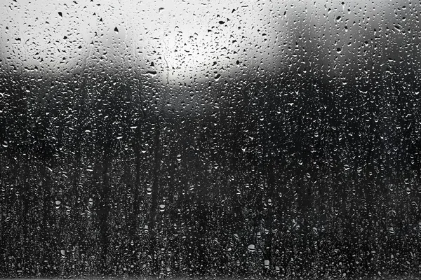 Esőcsepp Stock Kép