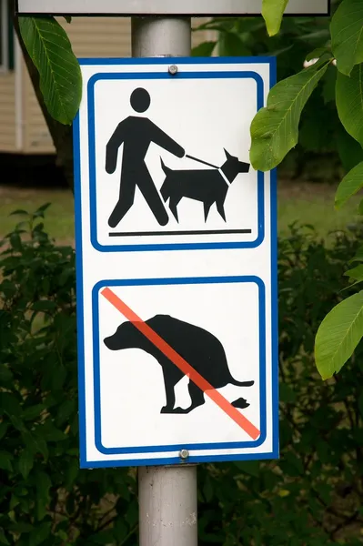 Знак собаки — стоковое фото