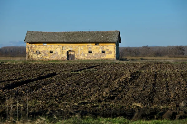 Barn on a field — Stock Photo, Image