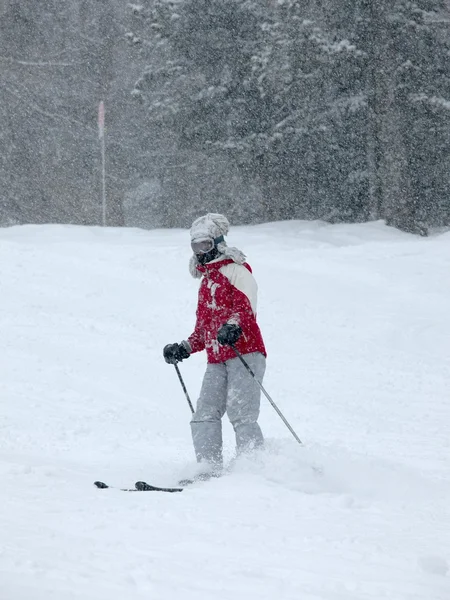 Лыжник в снежную бурю — стоковое фото