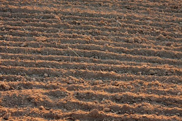 Gleba orana — Zdjęcie stockowe