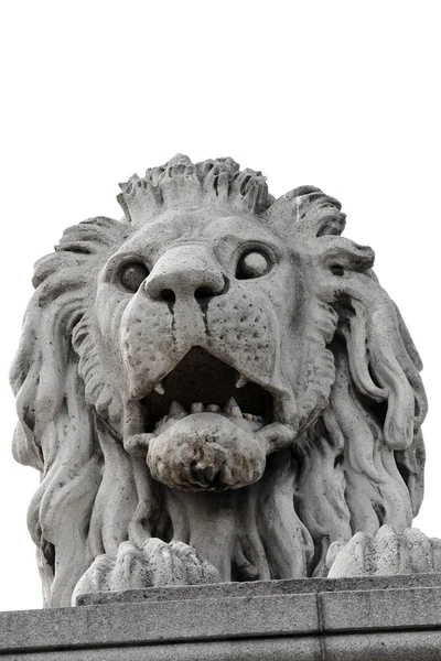 Lion de pierre — Photo