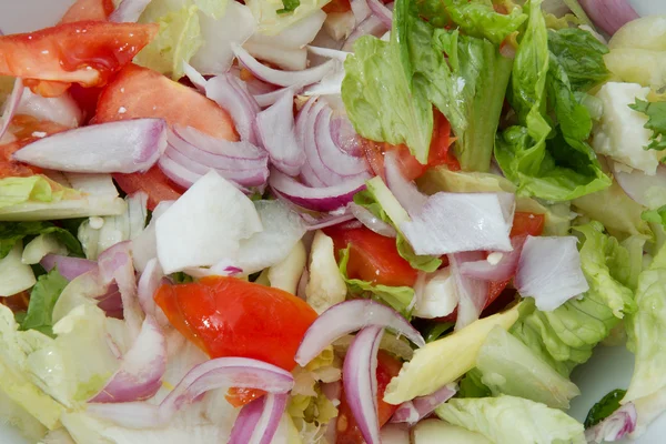 stock image Vegetable Salad