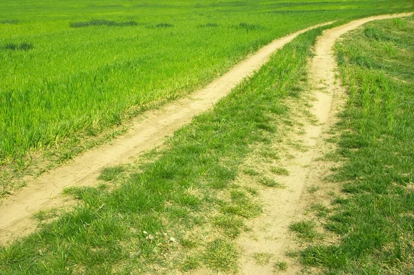 Dirtroad Leading Agricultural Field — Stock Photo, Image