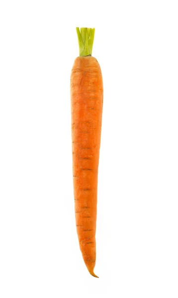 stock image Carrot