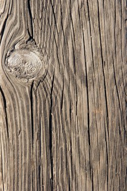 Wood texture clipart