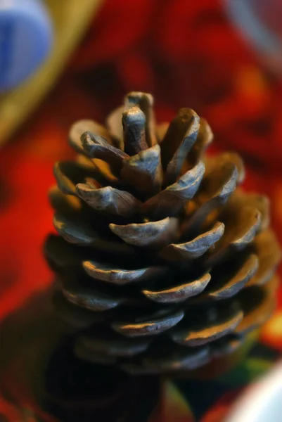 Il cono di pino - sfondo natalizio — Foto Stock