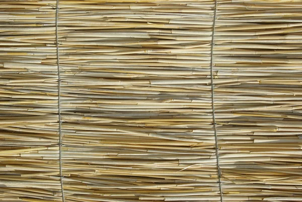 Структура из трости — стоковое фото