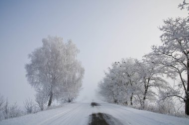 kış yolu