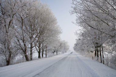 kış yolu