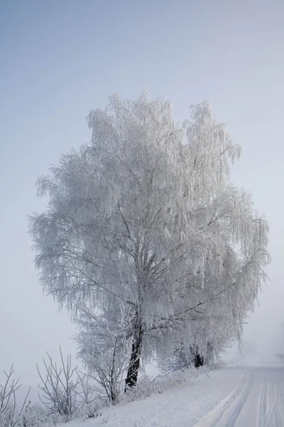 Conto Inverno — Fotografia de Stock